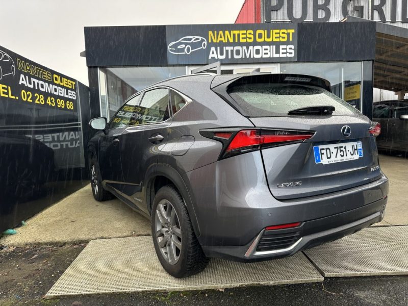 LEXUS NX300H 300H 2WD BUSINESS 