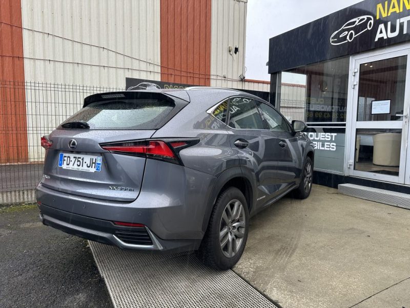 LEXUS NX300H 300H 2WD BUSINESS 