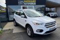 FORD KUGA II 1.5 FLEXIFUEL-E85 150CV TITANIUM BVM6